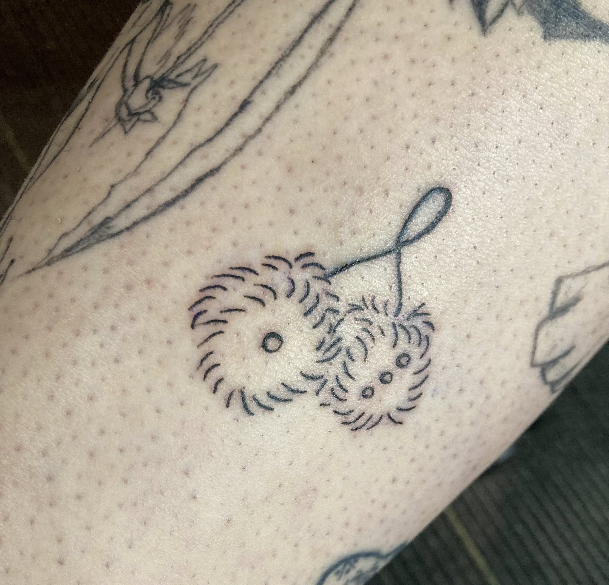 Tattoo by Modern Ink Erie